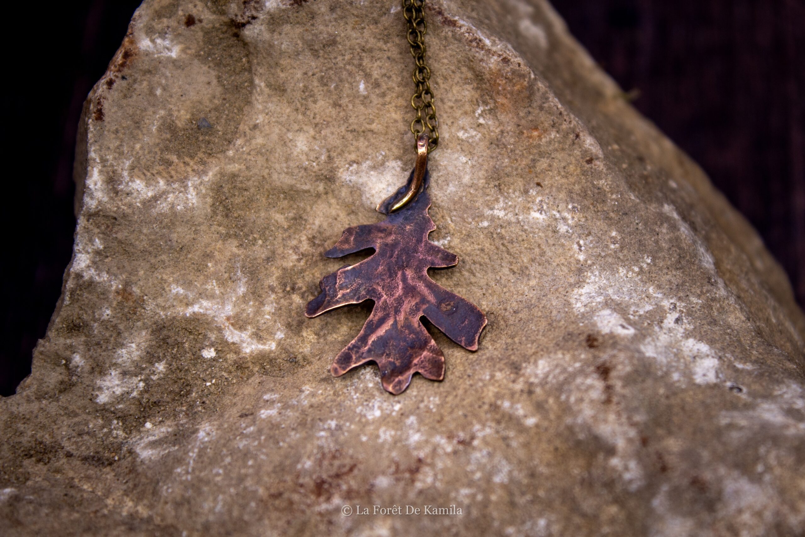 Feuille de chêne Pédonculé – Bronze massif – Image 4