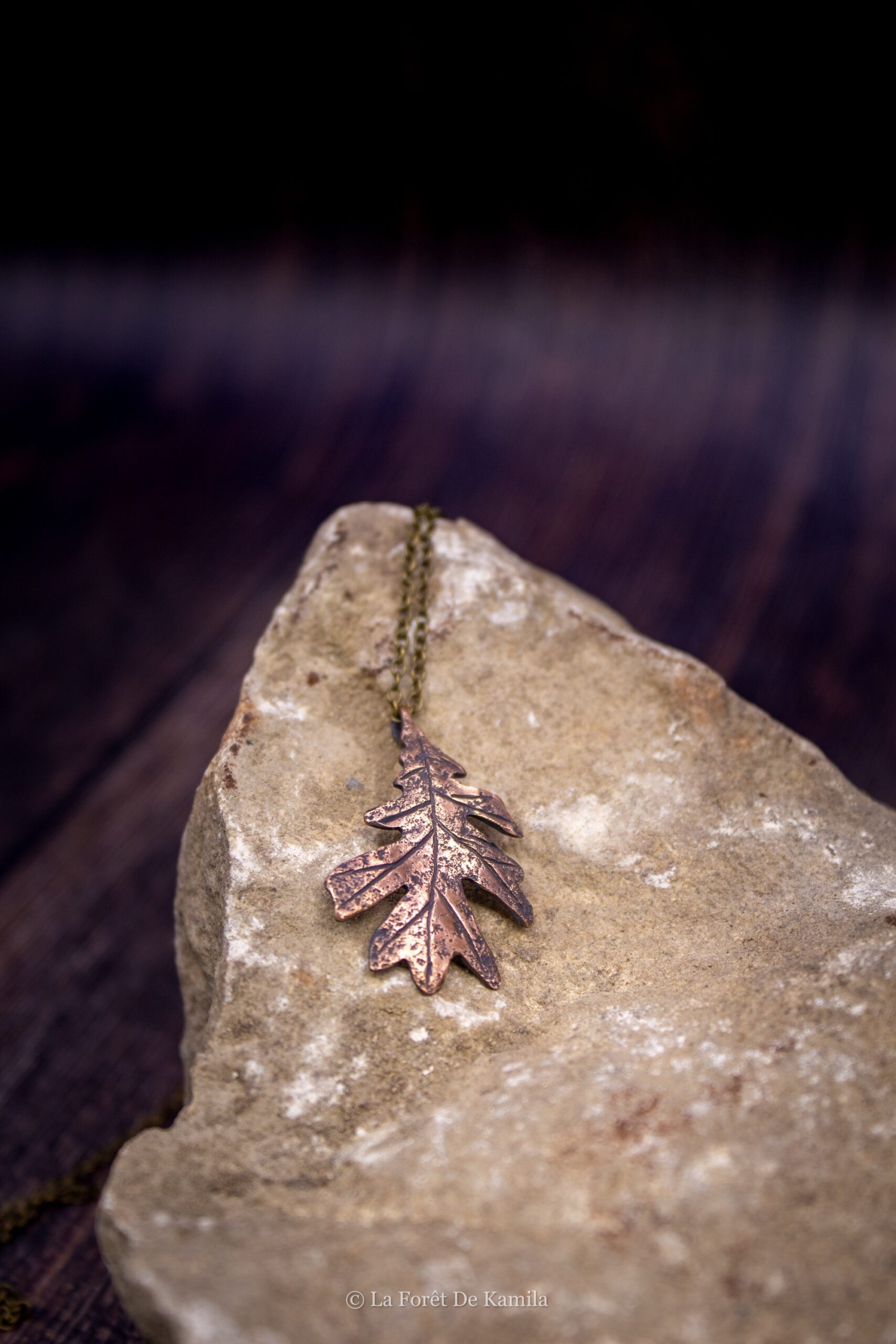 Feuille de chêne Pédonculé – Bronze massif – Image 5