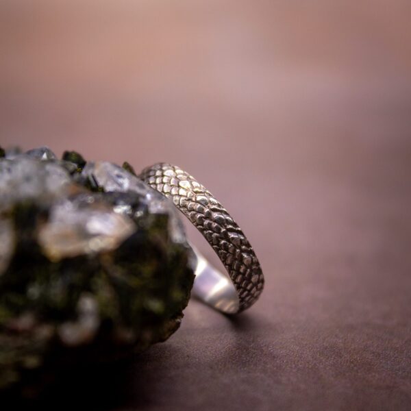 Dracaaris - Argent massif